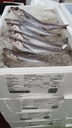 Pescadilla 300/500