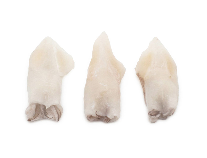 Calamar Indio Limpio 20/40 IQF (6x1kg) 6kg