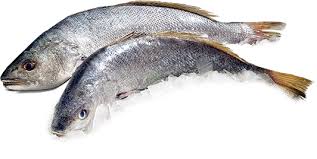 Corvina Salvaje 5/10