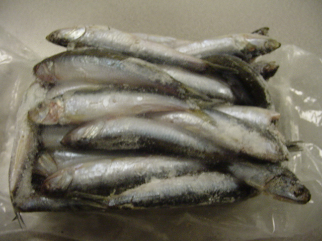 Boqueron Fresco