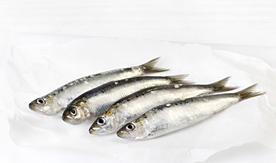 Sardina Fresca P