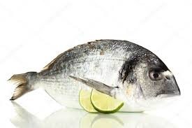 Dorada 1/2 Salvaje