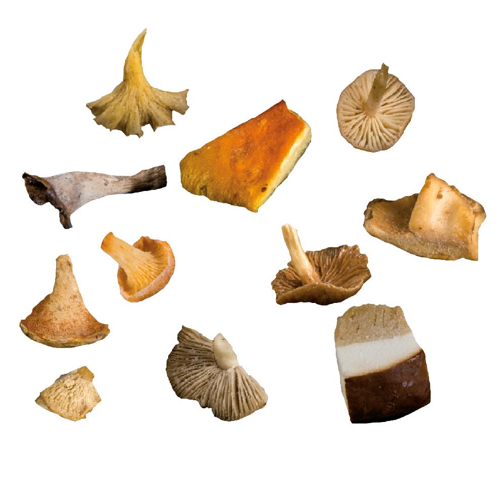 Mezcla Seta Silvestre 11V La Selecta B/1Kg