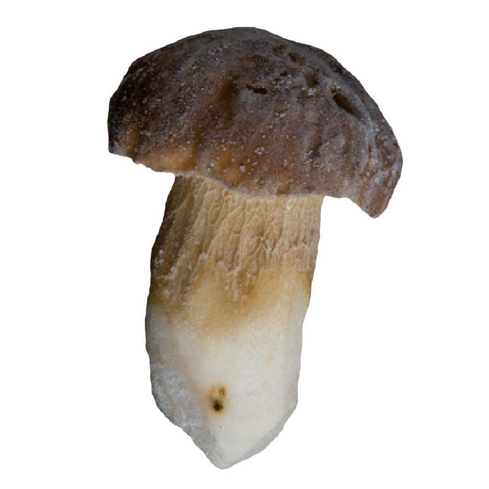 Boletus Primera Mediano La Selecta B/1kg