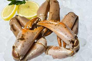 Bocas Namibia XL 4udsx4kg