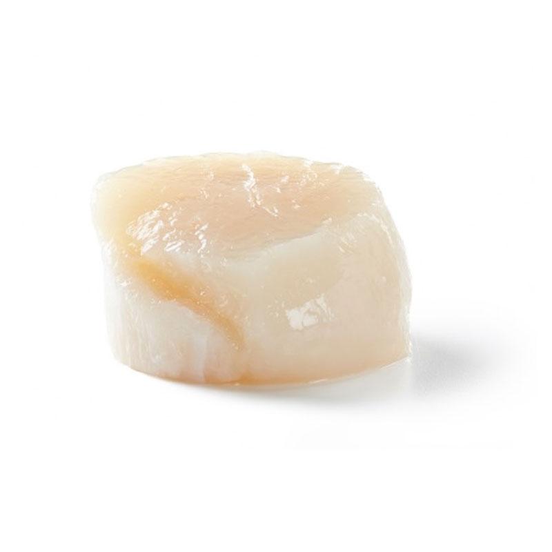 Vieira Canadà "L" Msc 22/44Un C/2Kg, Kg