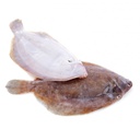 Lenguado Limon A (175-250)g/pz 10kg