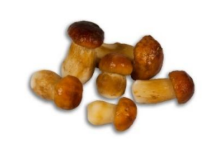 Boletus enteros 2-4 cm