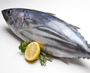 Bonito Costa