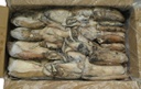 Sípia Fresca 200/300