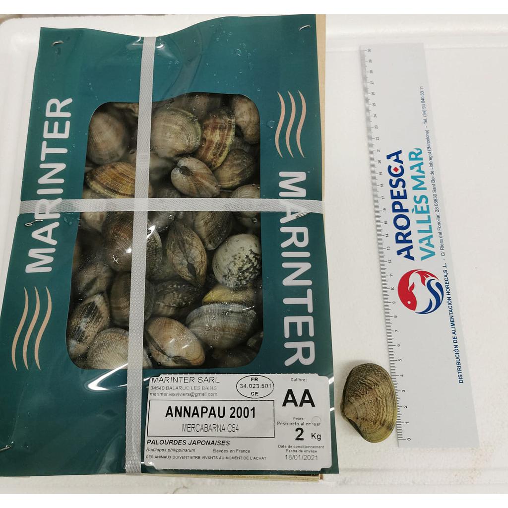 Almeja Marinter Mediterraneo 30/40 AA CJ 2 KG