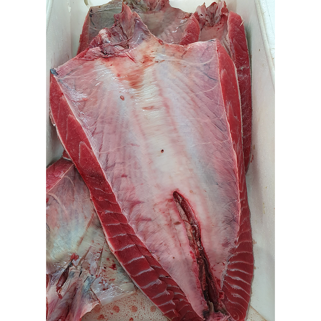 Atun Parpatana 300/500 Pulida Cong