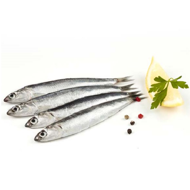 Boqueron Fresco M