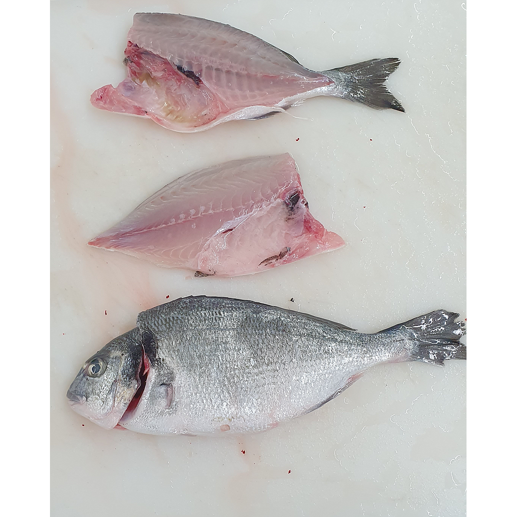 Dorada 200/300