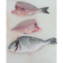 Dorada 200/300