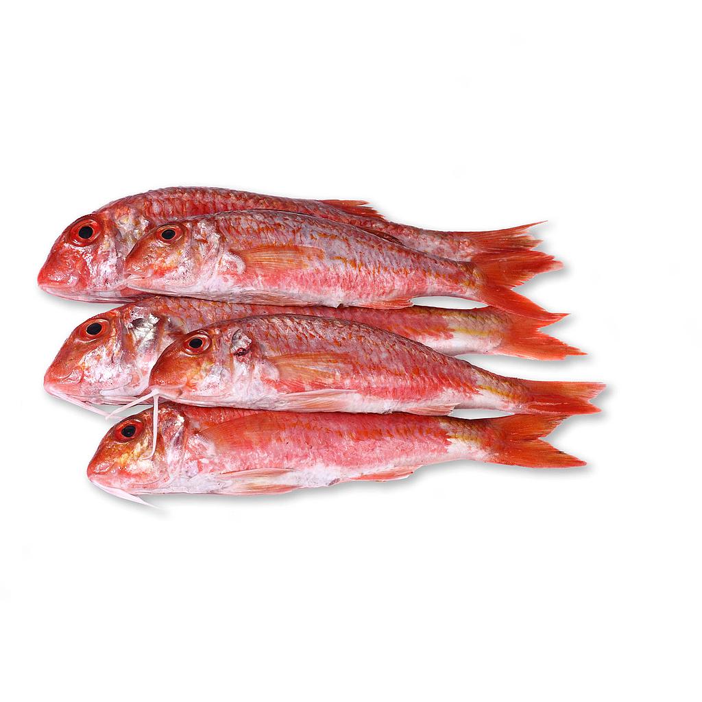 Salmonete 100/200