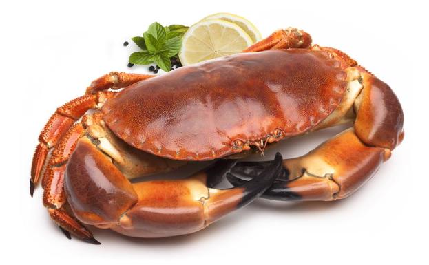 Buey Fresco Cocido 1Kg