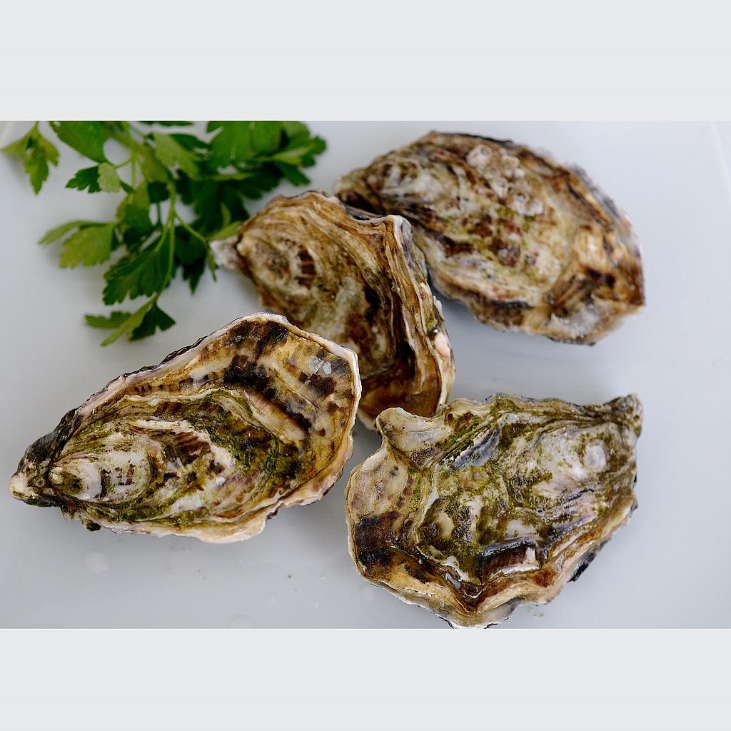 Ostra Giga 2 Caja 3 Kg