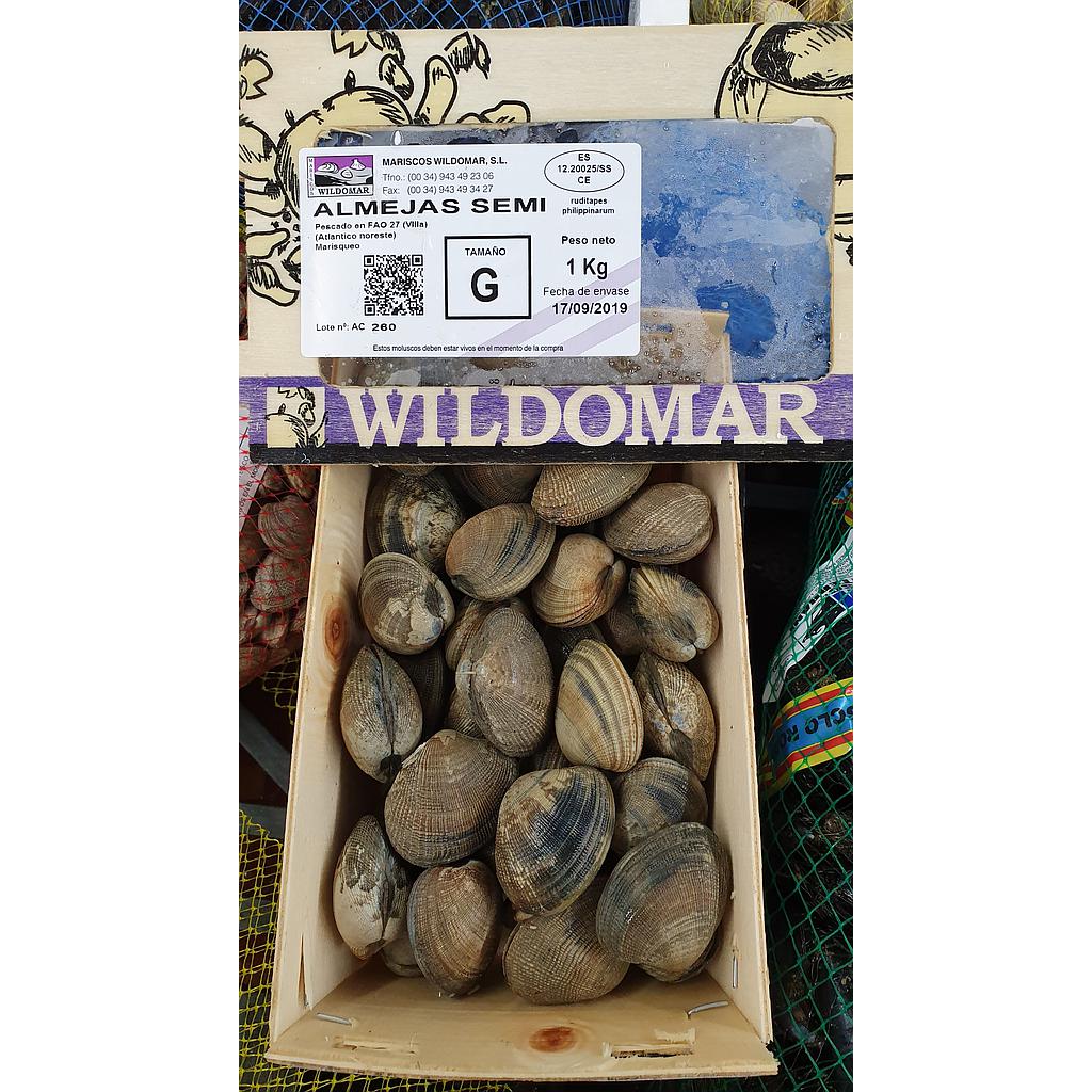 Almeja Marinter Mediterraneo 40/60 A 2kg