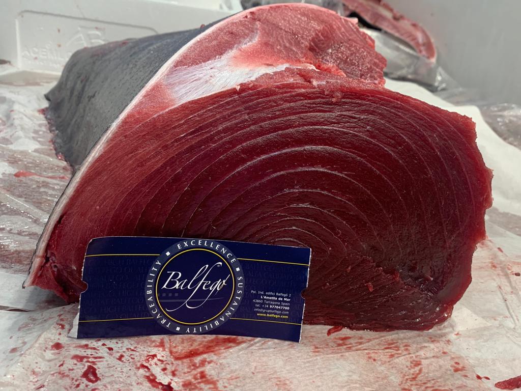 Atun Lomo BF Balfego