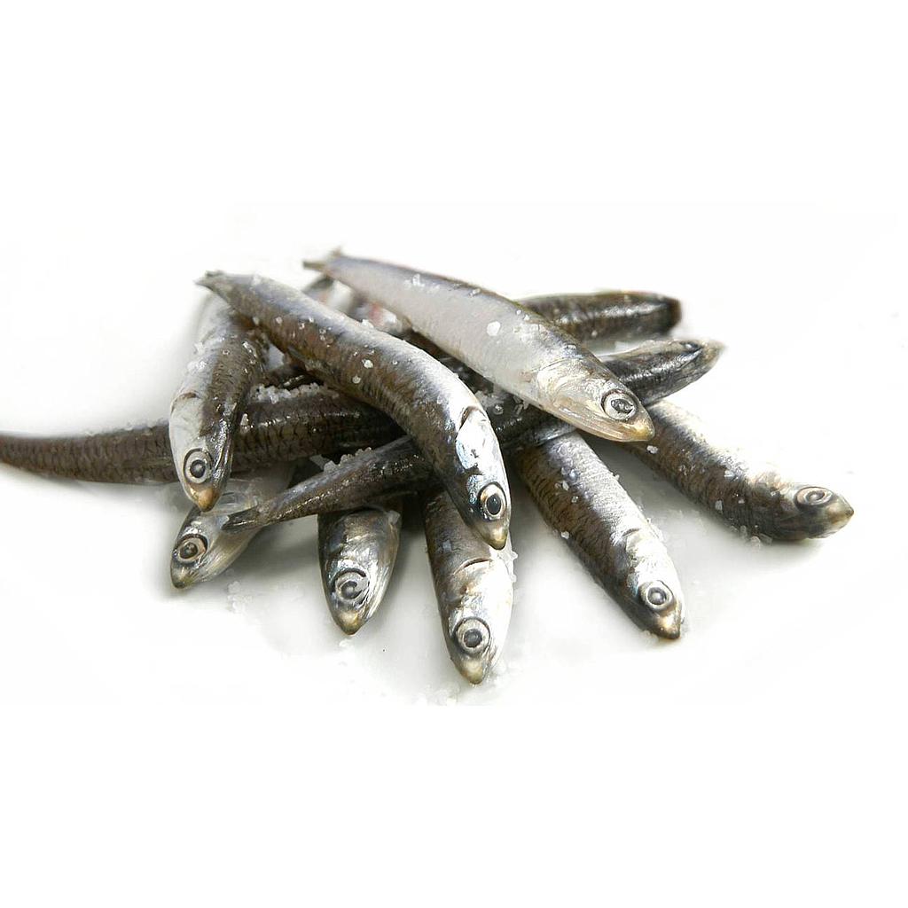 Boquerón Mediterráneo M Cong. 10x1kg