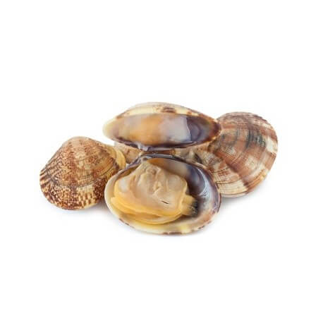 Almeja Fina nº1 (Mezcla) Gallega 1kg