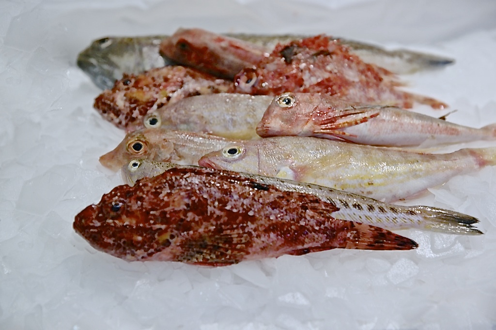 Fritura Fresca 5 variedad Cj/3kg