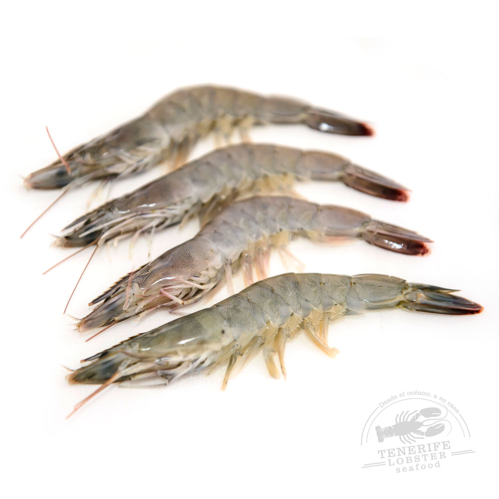 Langostino Fresco M 30/35 pz