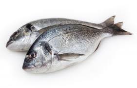 Dorada Salvaje Filete Evo