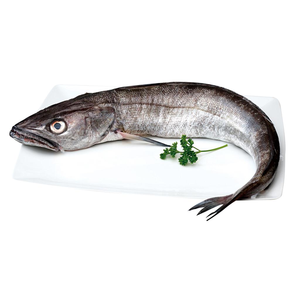 Volanta Premium 2/3 Evo