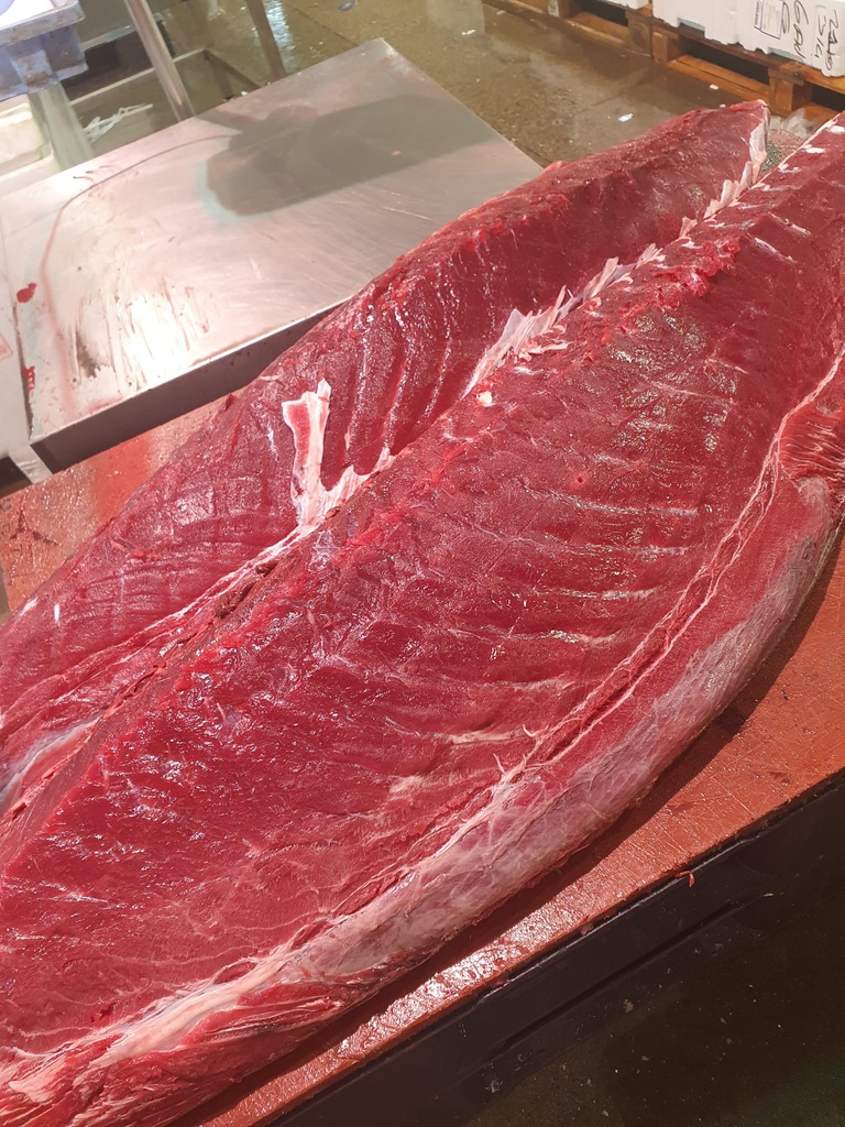 Atún BF Ikegime S/sangacho Premium Evo