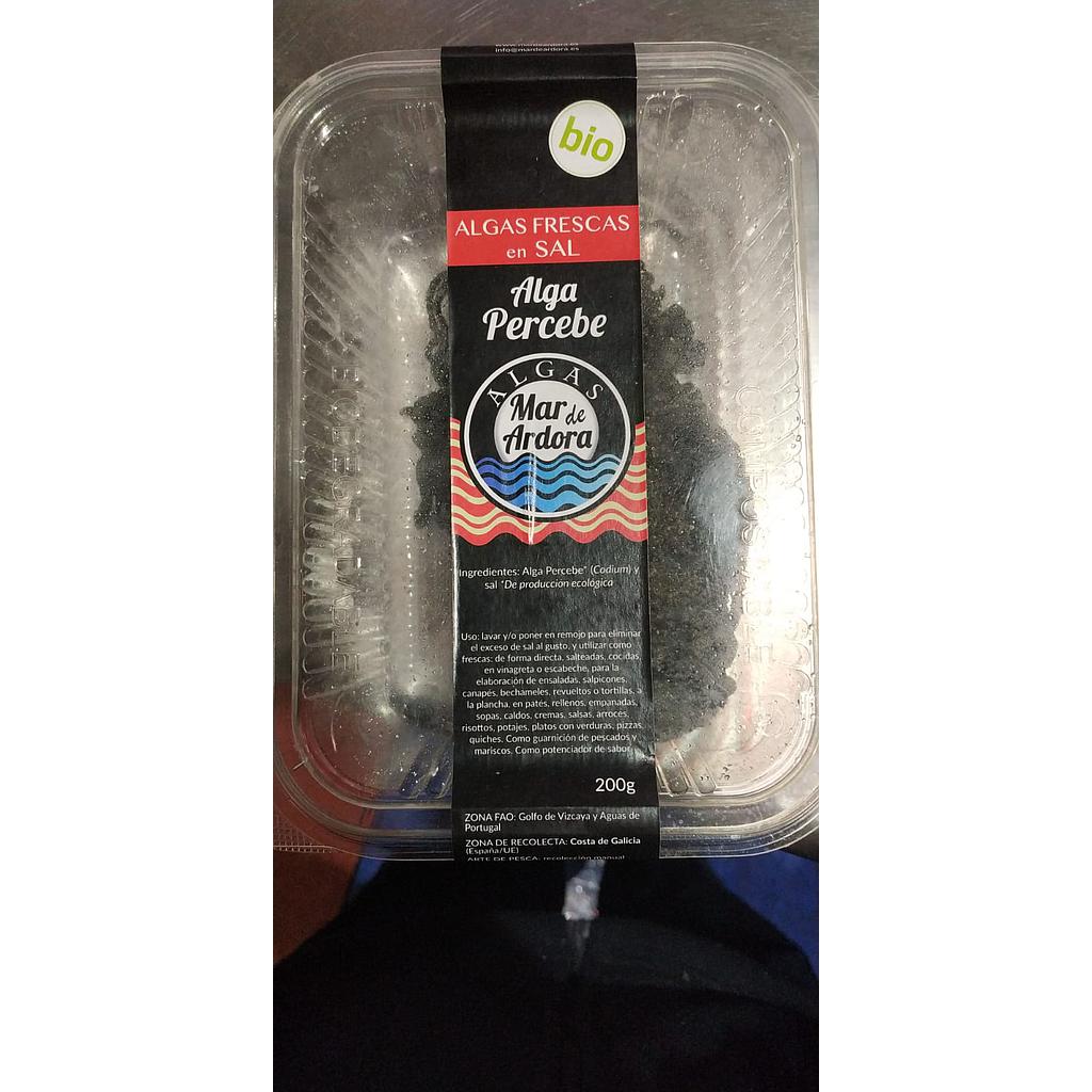 Plancton Liofilizado 40gr Tarro