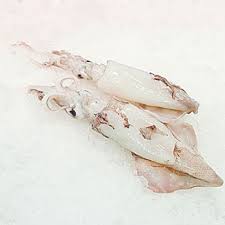 Calamar Patagónico Fresco Cj/4kg