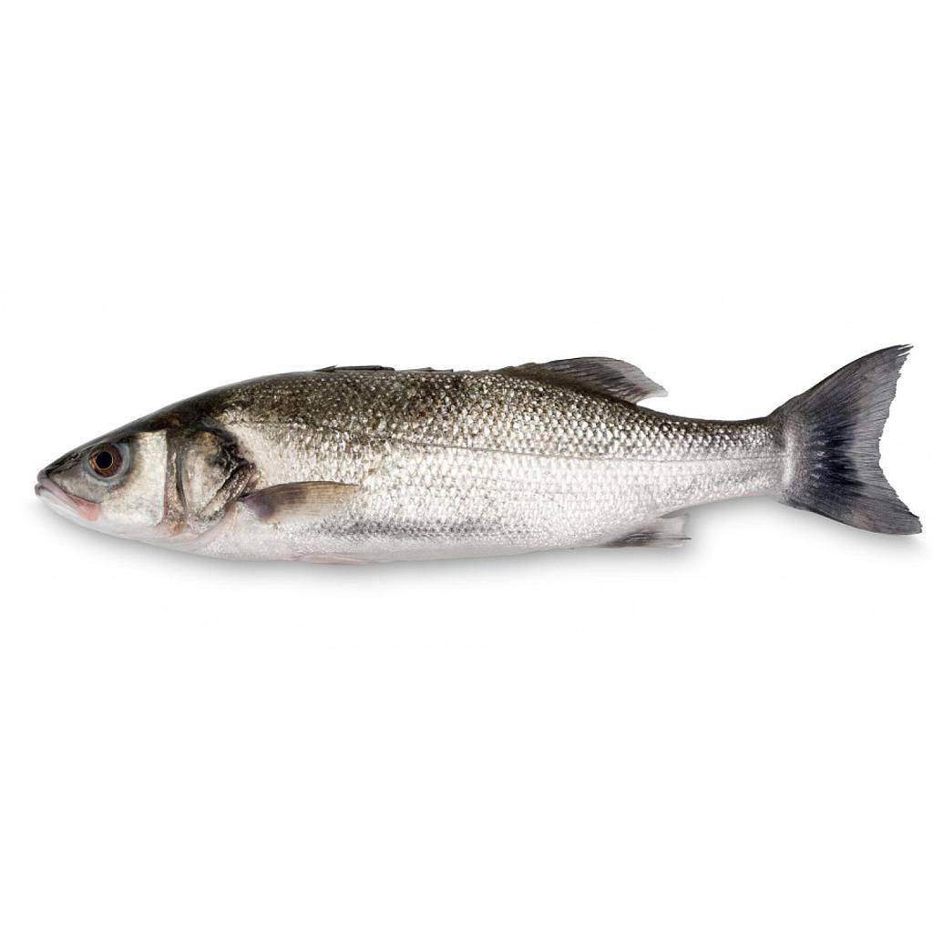 Lubina Filete Fresco