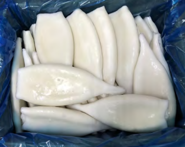 Pota Tubo Premium Fishook 180-220 g/pza (22-26) 7 kg