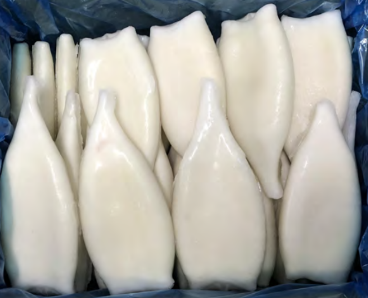 Pota Tubo Premium Fishook 140-170 g/pza (18-21) 7 kg