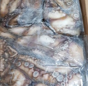 Pulpo T1 Marruecos Dakhla FAO34 (4-6)kg/pz