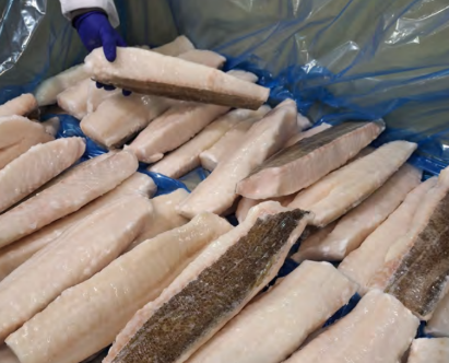 Bacalao Lomo Islandia +800g/pz 5kg