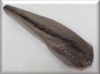 Merluza Tronco Austral 1800-2500 g/pza ±11kg