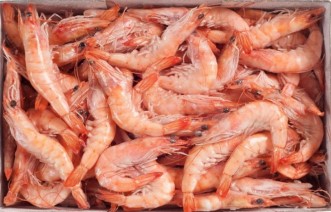 Langostino Cocido 40-60 (17-25)g/pz (6x2kg) 12kg