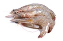 Langostino Vannamei 30/40 (25-35)g/pz (10x2kg) 20kg