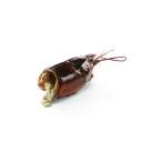 Bogavante Cabezas 12 kg