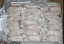 Calamar Puntilla Marroqui 10kg