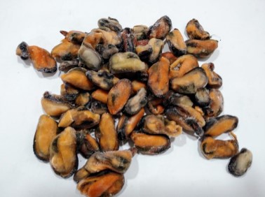 Mejillon Carne Chile (200-300)pz/kg 10kg