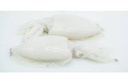Sepia Limpia India 8/12 (80-140)g/pz (6x1kg) 6kg