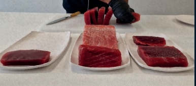 Atun BF Cong. Sakus