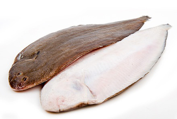 Lenguado Holanda Nº3 250-300 g/pza 1x5kg