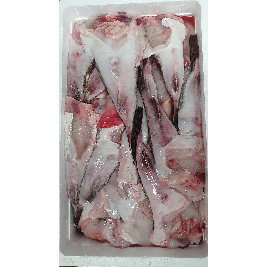 Rape Cola Latigo 1/2