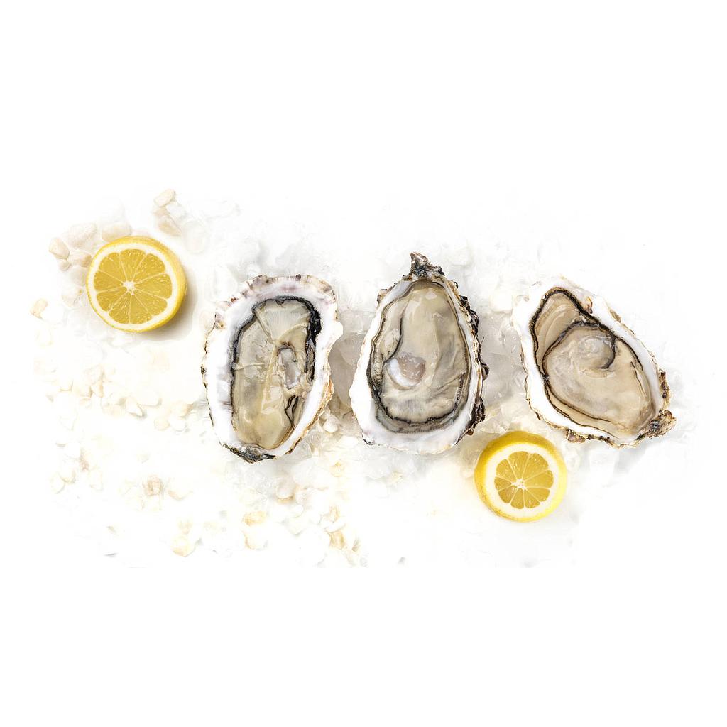 Ostra del Sol Nº00 25uds