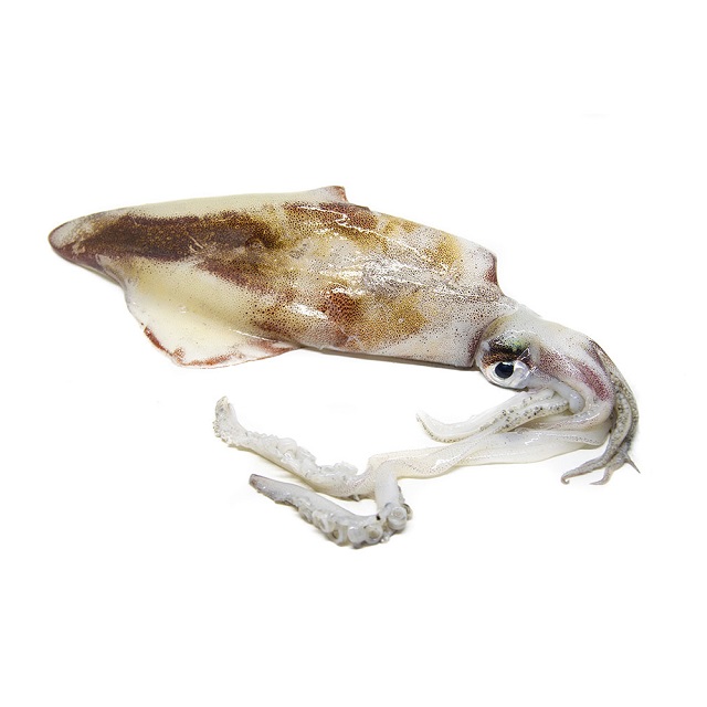 Calamar Potera -100g/pz 7kg Almaddu